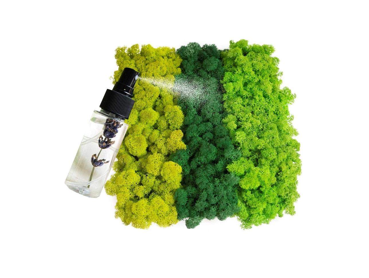 Mech chrobotek - MIX 3 Kolorów + Odżywka 0